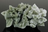 Skeletal Halite Crystals with Tolbachite - Poland #175419-3